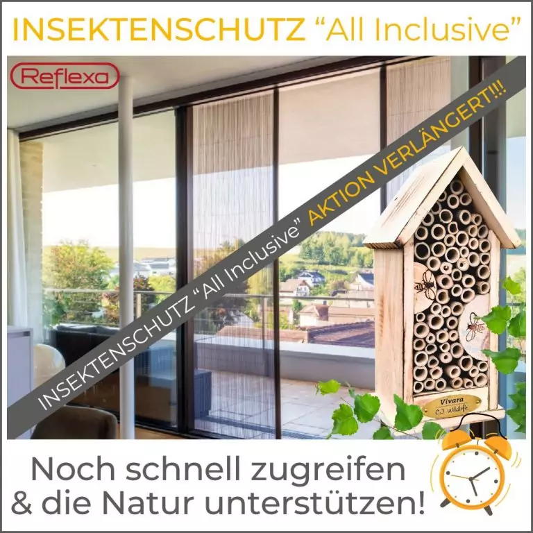 Fachbetrieb Weru Kemena Bremen Aktion Fenster Insektenschutz Balkontür Terrassentür